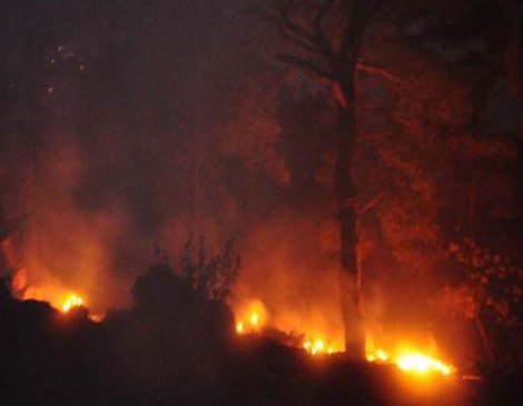 Anamur' da 65 hektar kızılçam ormanı yandı