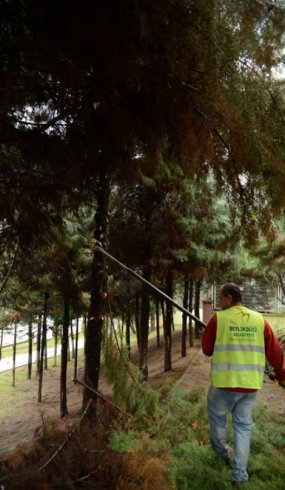 Beylikdüzü kışa hazırlanıyor