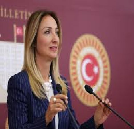 CHP'li Nazlıaka kadına şiddet davalarını sordu