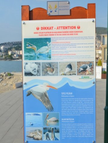 Dikkat! plastik atıklar deniz canlılarını öldürür