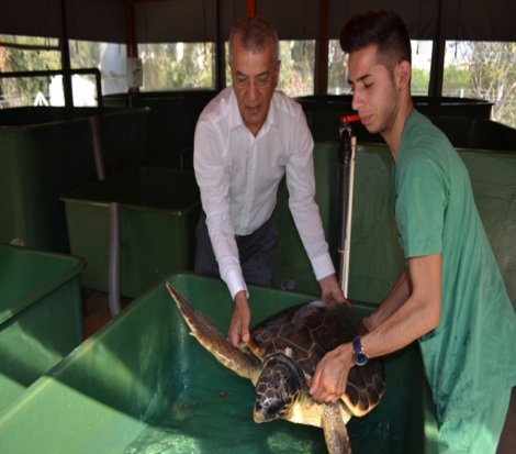 Karşı Çıktık, Karşı Çıkınız