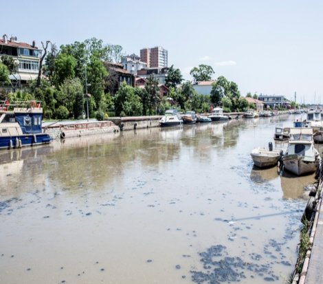 Muhtarlar, Kurbağalıdere için harekete geçti