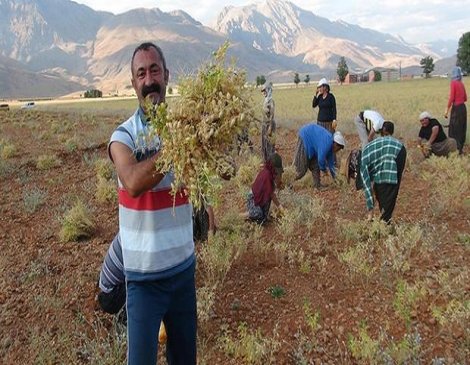 Ovacık Belediyesi sözünü tuttu