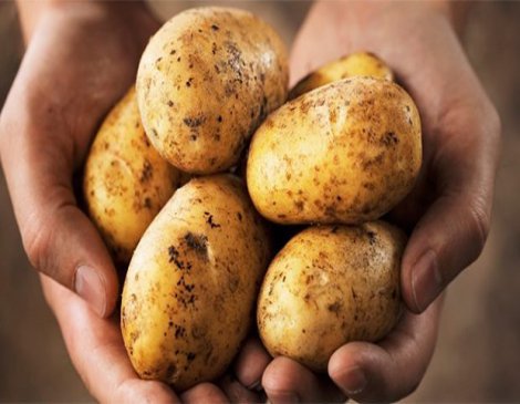 Patatesin fiyatı yüzde 80 arttı