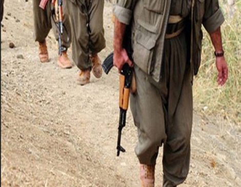PKK Muş'ta kaçırdığı biri asker 2 kişiyi serbest bıraktı