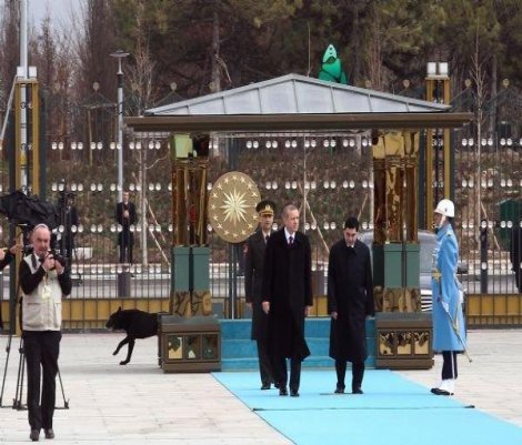 Saraydaki karşılamada köpek paniği