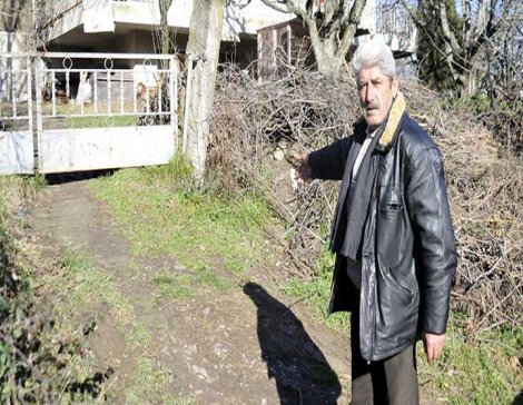 Yalova'da kuduz vakası