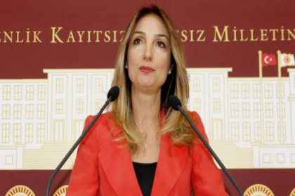 Aylin Nazlıaka, Davutoğlu'na Ankapark'ı sordu