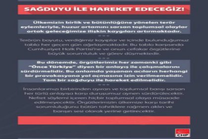 CHP'li Şafak Pavey'den AK-TROLL açıklaması