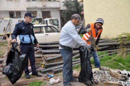 Karacabey'de sokak kedilerini zehirlediler