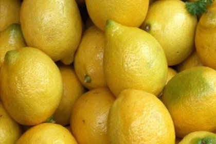 Limon'a Putin ayarı