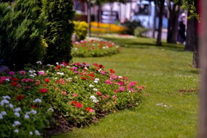 Maltepe çiçek açtı