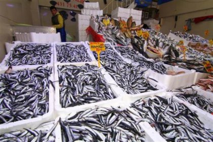 Mayıs'ta en çok balığın fiyatı arttı