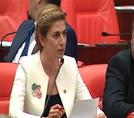 CHP Milletvekili Didem Engin: Padişahlarımızın ve evliyalarımızın kemiklerini sızlattınız