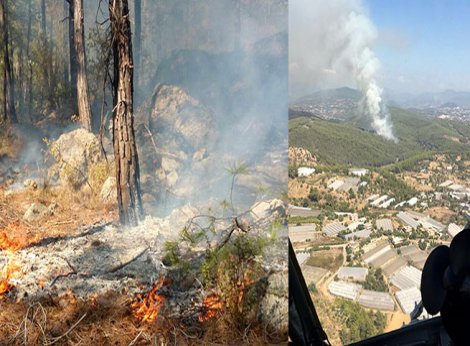 Alanya'da orman yangını