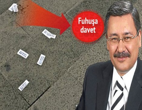 Ankara'nın doğal bitki örtüsü: Fuhuş kartvizitleri