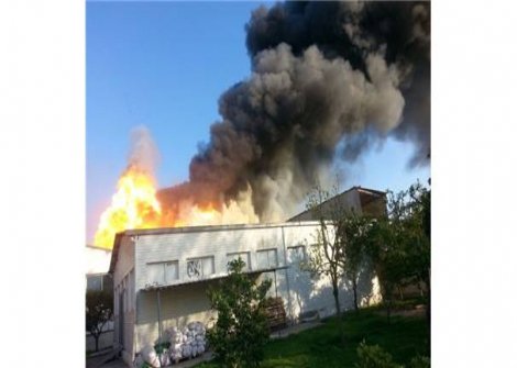 Antalya'da fabrika yangını