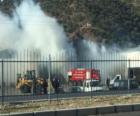 Aydın'da 200 ton pamuk yandı