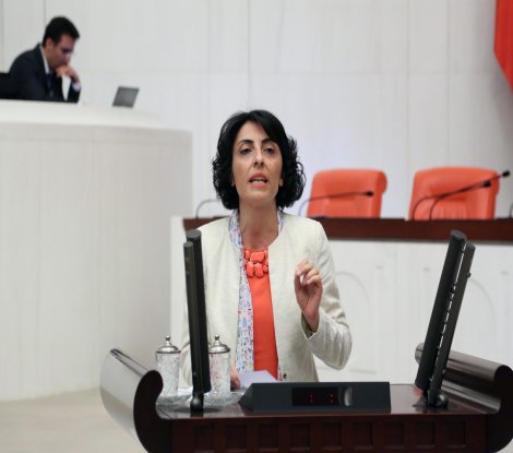 Bakan'ın satır arasında kaç Suriyeli'ye vatandaşlık verildi?