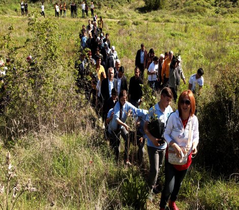 Başkan Karalar, 100 şehit anısına 100 fidan dikti