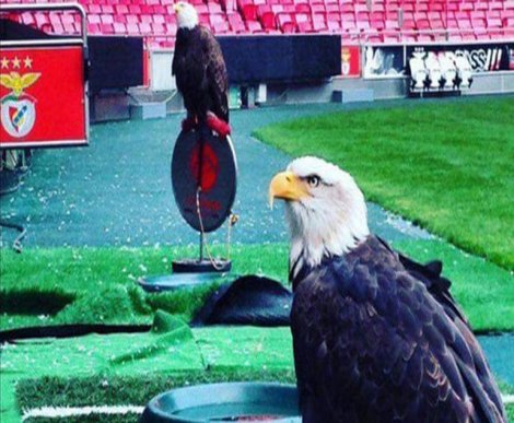 Benfica Beşiktaş maçı bu akşam hangi kanalda, saat kaçta?