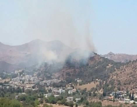 Bodrum'da çıkan yangın yerleşim alanlarına yaklaştı