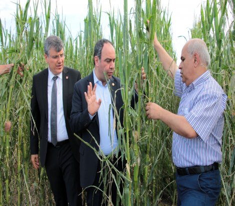 CHP'li Barut: Çiftçinin mağduriyeti giderilmeli