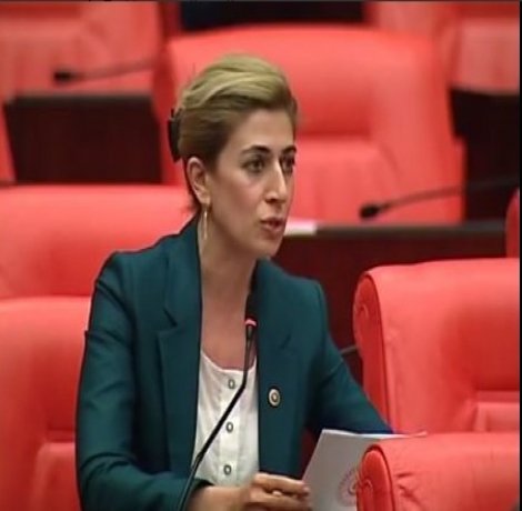 CHP'li Engin: Emeklilikte yaşa takılanların sorununu çözelim