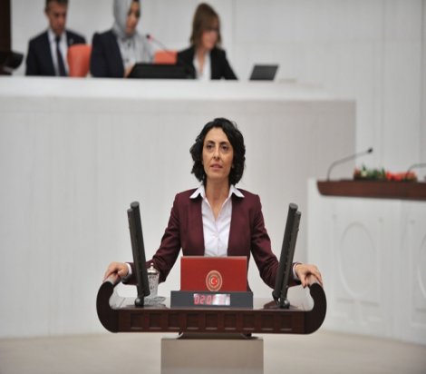 CHP'li Kayışoğlu, Çepni’deki 2B arazilerini Meclise taşıdı