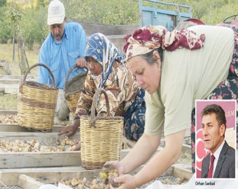 CHP'li Sarıbal: Küçük üretici eziliyor