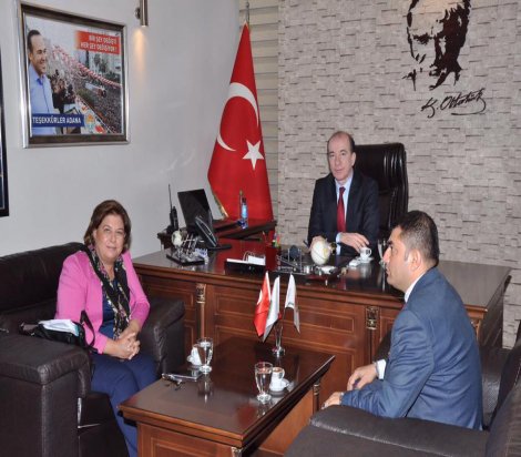 CHP'li Türkmen sorunları dile getirmeye devam ediyor
