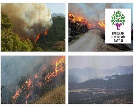 HDP 'Kumluca yangını' paylaşımları nedeniyle özür diledi