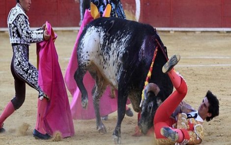 İspanya'da boğa, matadoru öldürdü