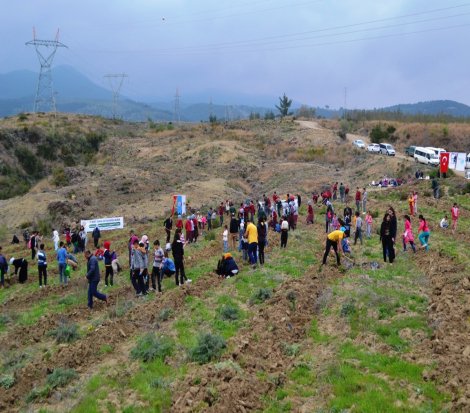 Karaisalı Orman Haftasını Fidan Dikimi ile kutladı