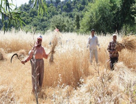 Kırsalda yaşam 15 yılda çöktü