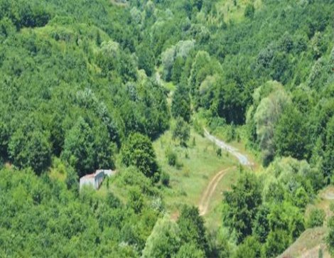 Maden ocağı için ağaç kesimine kimse isim yazdırmadı