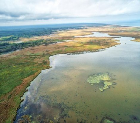 Termik santral olacaktı, tabiat parkı ilan edildi