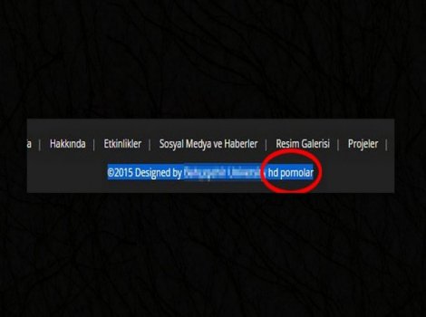 Üniversitenin internet sitesinde porno linki