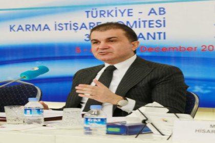 AB Bakanı Ömer Çelik'ten AP'ye tepki