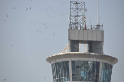 Baharın müjdecisi, pilotların kabusu!