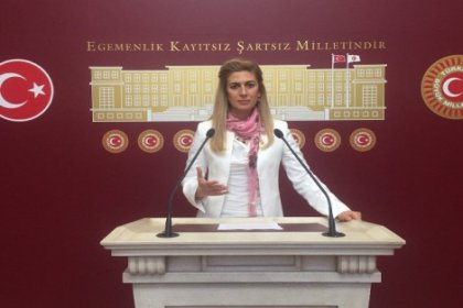 CHP'li Engin: Devlet kadını şiddetten korumuyor