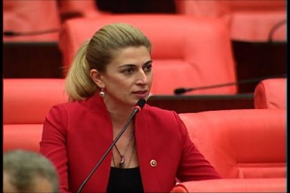 CHP'li Engin, fındık üreticilerinin sıkıntılarını dile getirdi