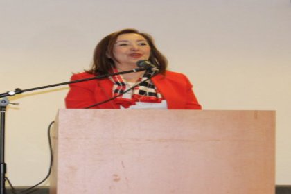 CHP'li Yaşar Seyman: Dert çok, derman ellerimizde