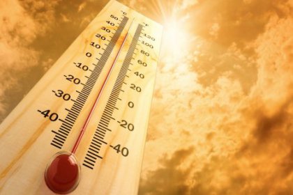 Japonya’da 530 kişi aşırı sıcaklar yüzünden hastanelik oldu