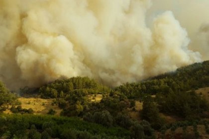 Kumluca'da yangın yine başladı