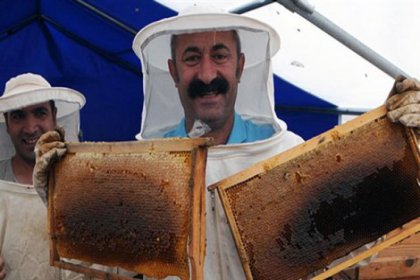 Ovacık Belediyesi işbirliğiyle 'Komünist Bal' satışı