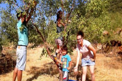 Ücretsiz ekolojik tatil