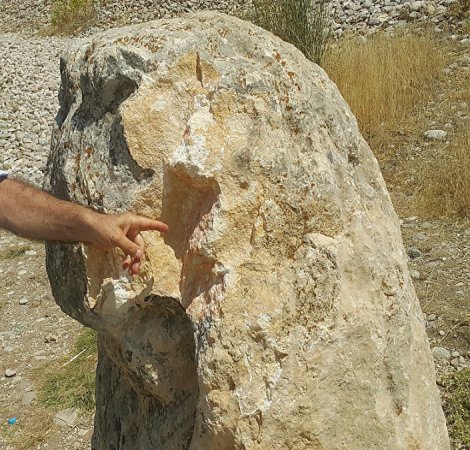 'Bu heykeli kıranların eller kırılsın'