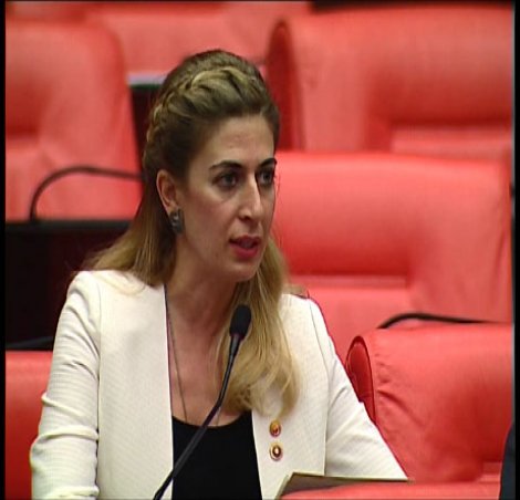 CHP'li Engin, İBB'nin Sarıyer 'Kazıklı Yol'daki ihmalini Meclis gündemine taşıdı