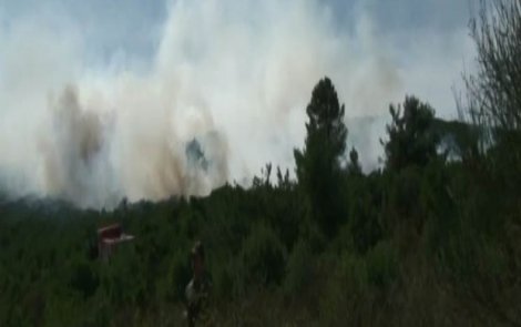 İstanbul Sancaktepe’de orman yangını